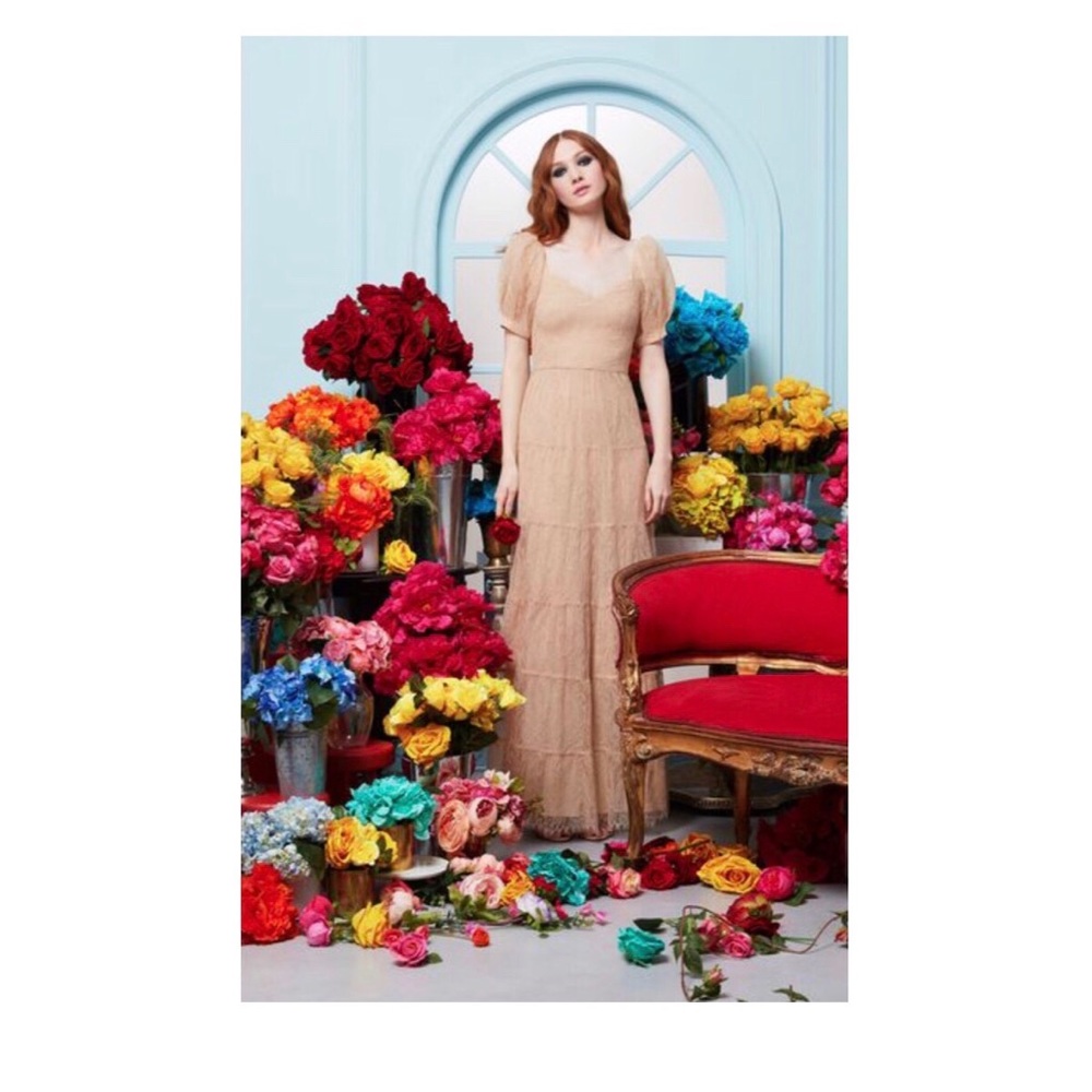 Alice + Olivia Remona Sweetheart Lace Dress 0